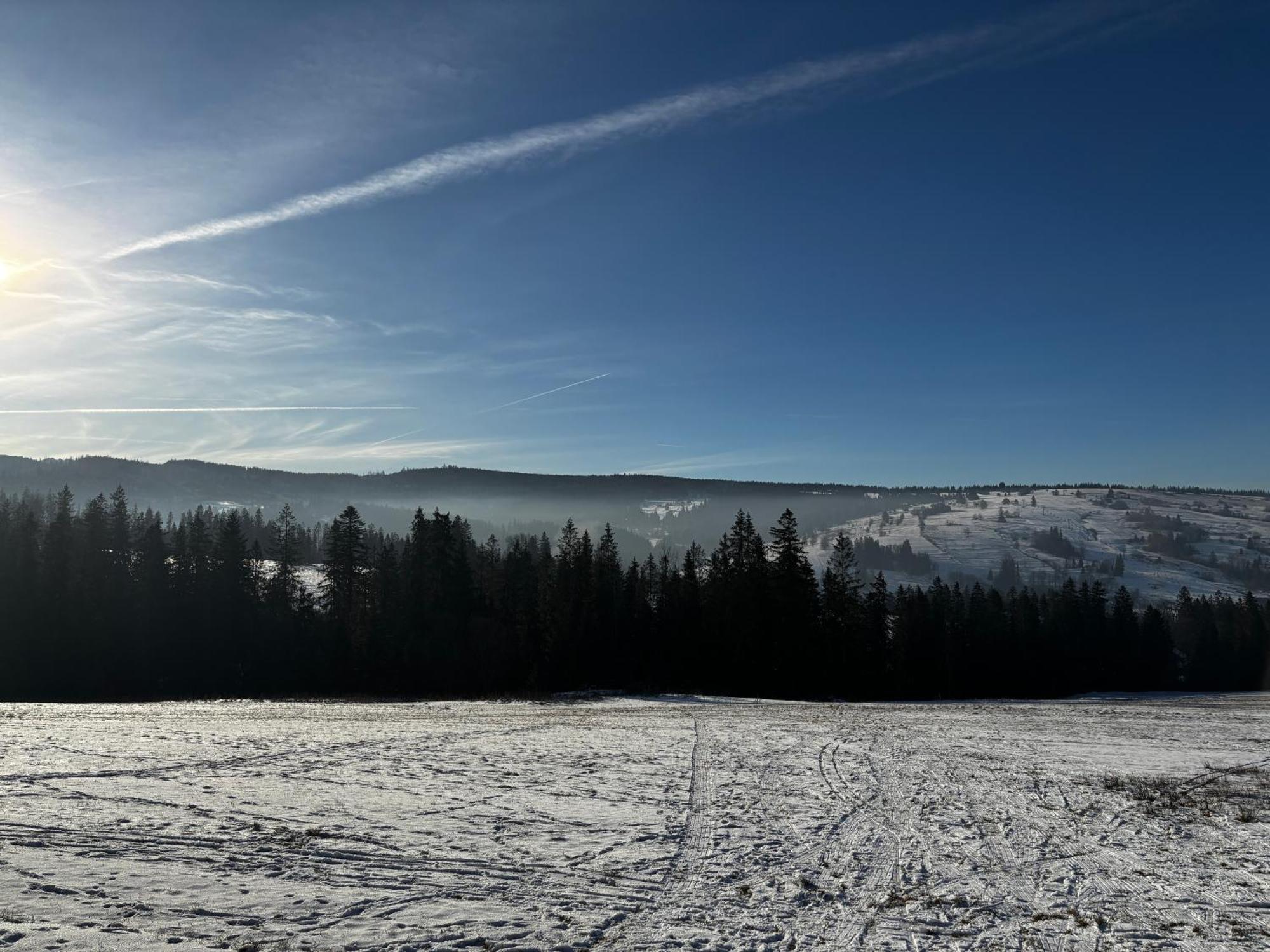 Witowianskie Domki Z Kominkiem, Jacuzzi I Sauna Dzianisz Exterior foto